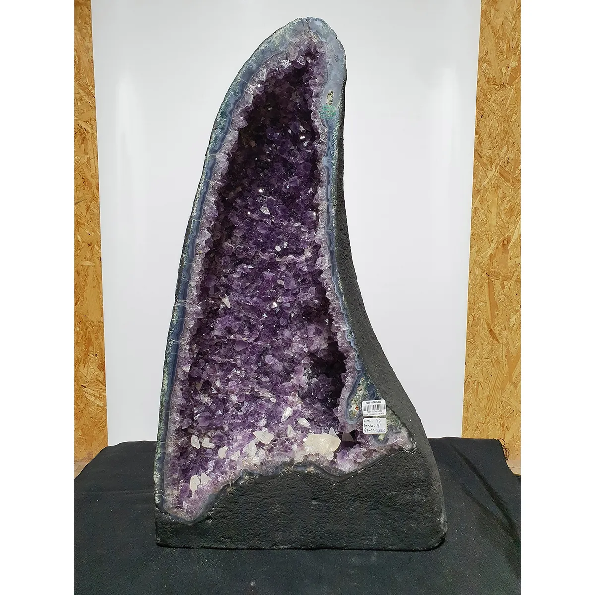 GENERICO - GEODA DRUSA AMATISTA G55L