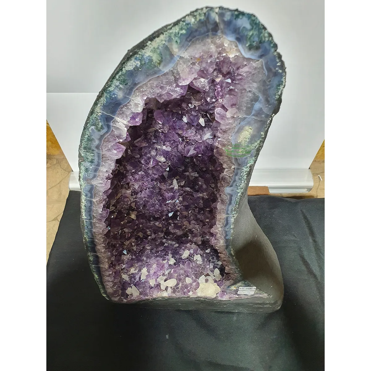 GENERICO - GEODA DRUSA AMATISTA G55L