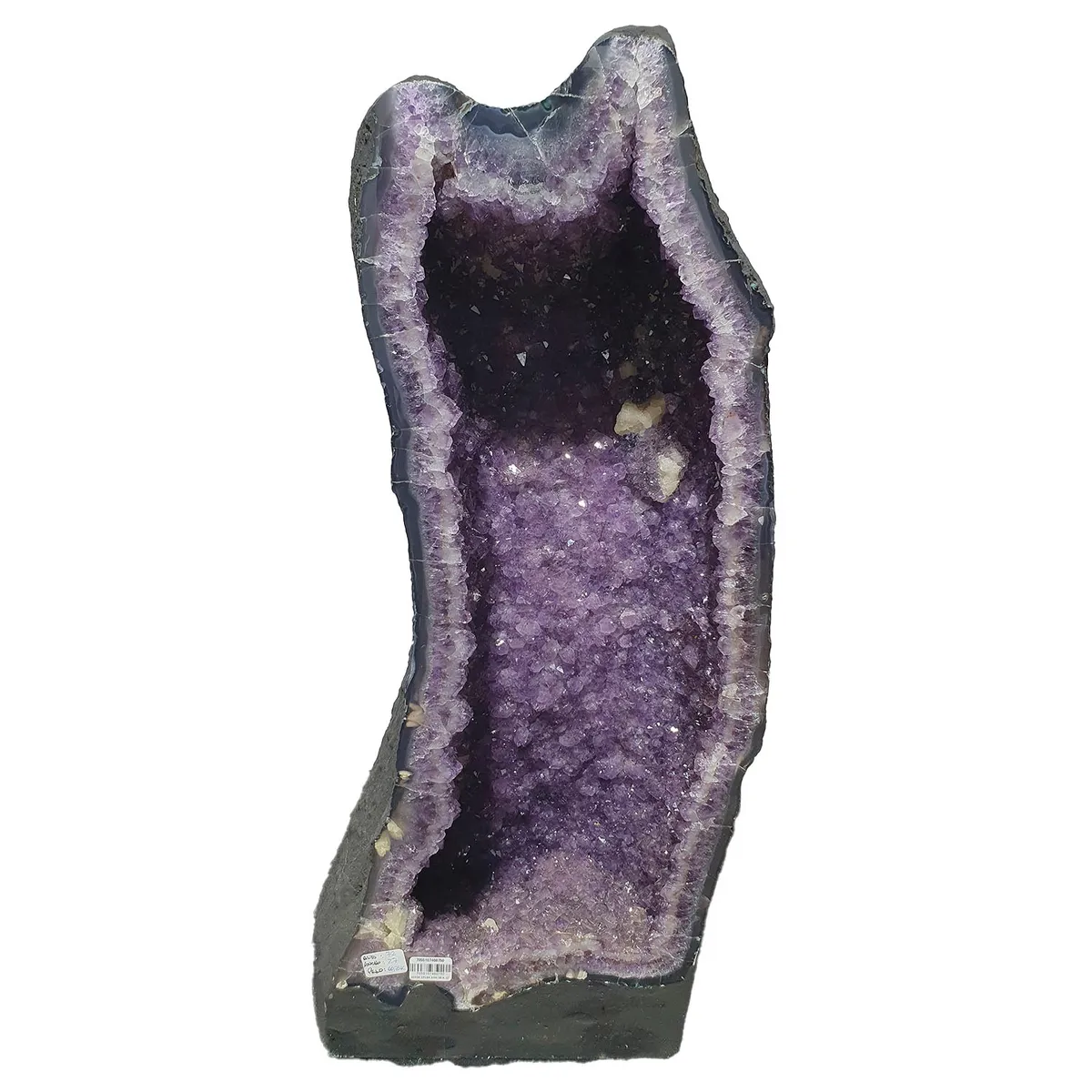 GENERICO - GEODA DRUSA AMATISTA G65