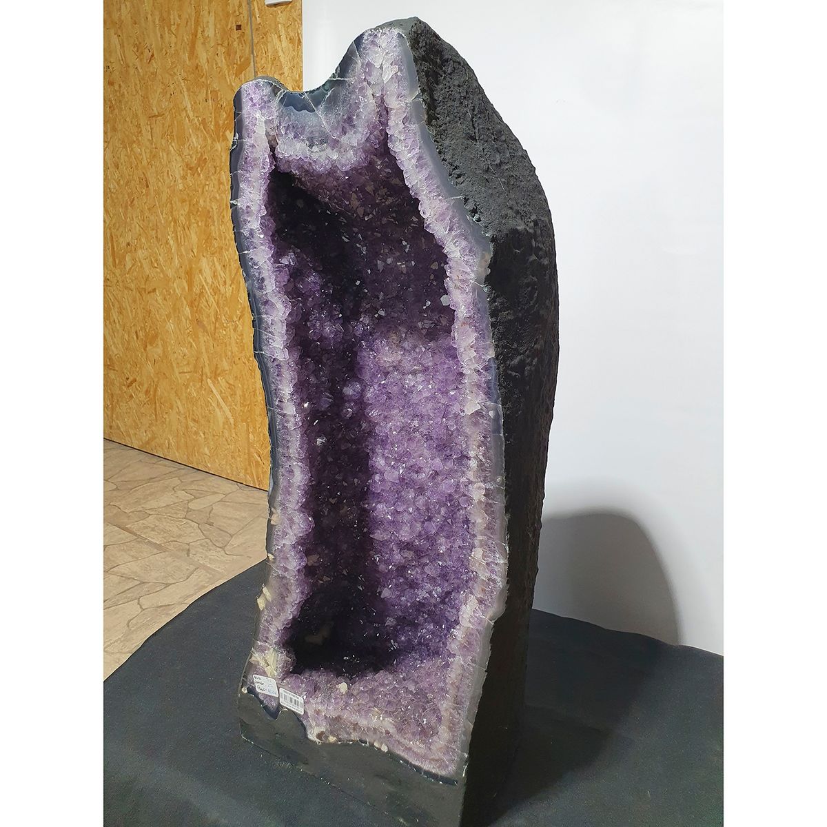 GENERICO - GEODA DRUSA AMATISTA G65