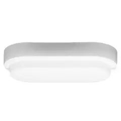 DRL LIGHTING - Foco tortuga Led 12W ovalada luz fría