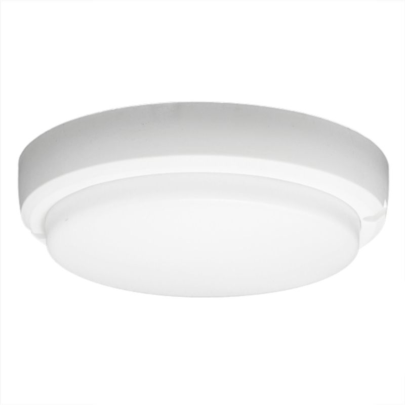 DRL LIGHTING - Foco tortuga Led 8W redonda luz Neutra