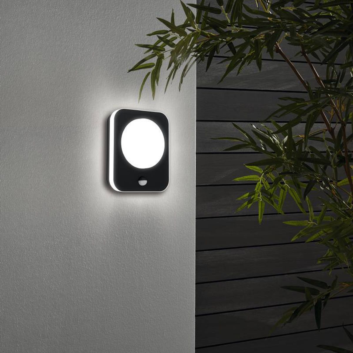 EGLO - Lámpara Apliqué Madriz Negro 2X4W Led inclusive Cod99584