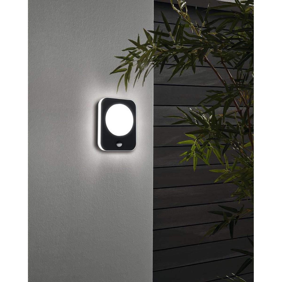 EGLO - Lámpara Apliqué Madriz Negro 2X4W Led inclusive Cod99584
