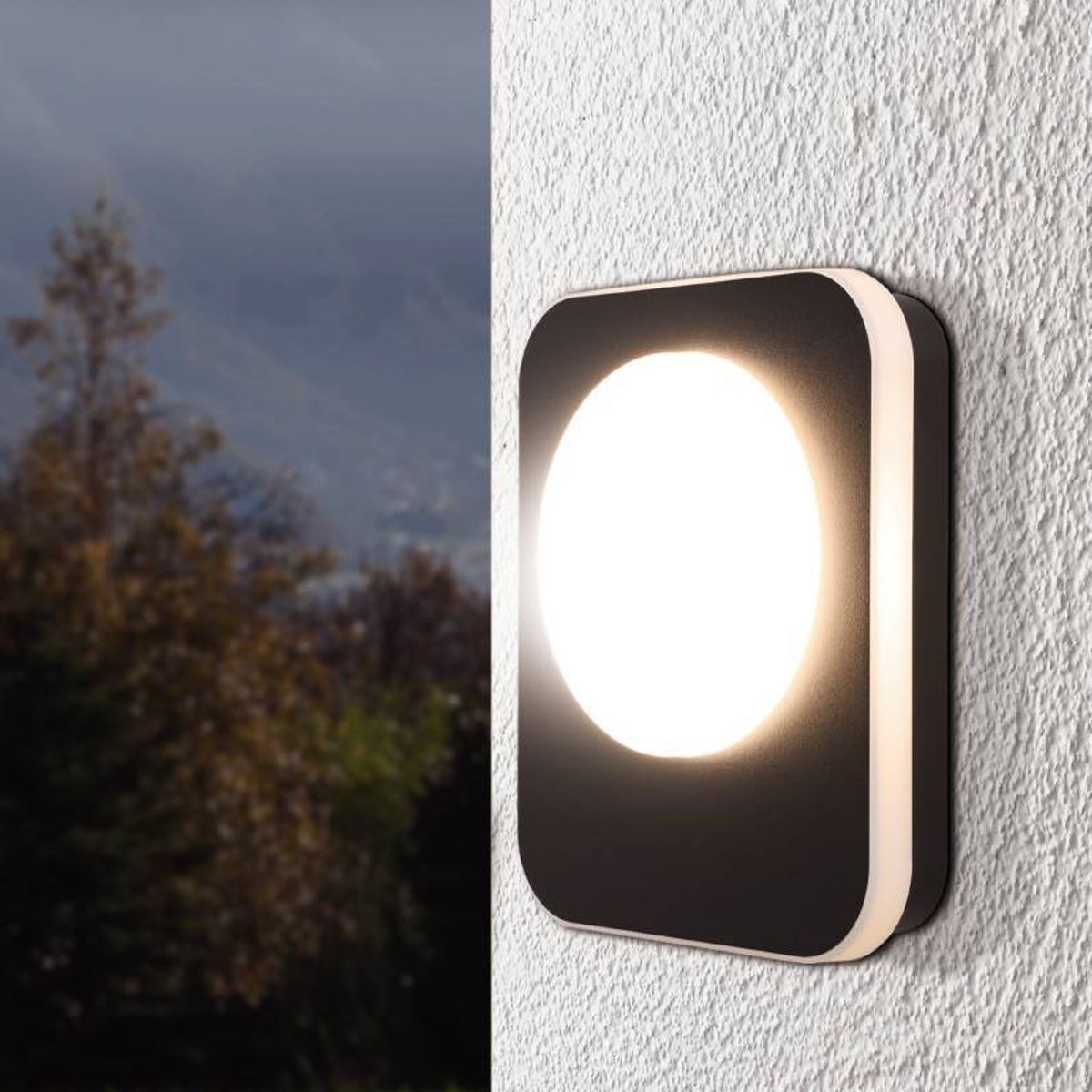 EGLO - Lámpara Apliqué Led Madriz Negro LED 9W IP44 Cod99583