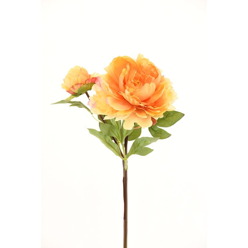 CHANTILLY - Peonia 50Cm Amarillo CHANTILLY