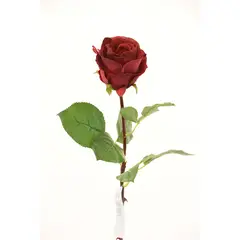 CHANTILLY - Rosa 54Cm Rojo