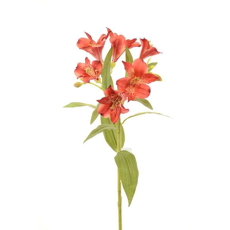 CHANTILLY - Astromelia 63Cm Rojo CHANTILLY