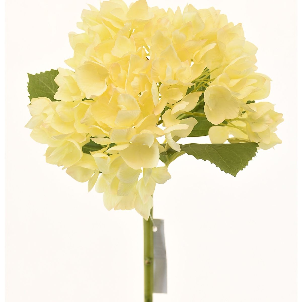 CHANTILLY - Hortensia 50Cm Ivory CHANTILLY