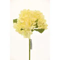CHANTILLY - Hortensia 50Cm Ivory