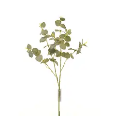 CHANTILLY - Hoja Eucalipto