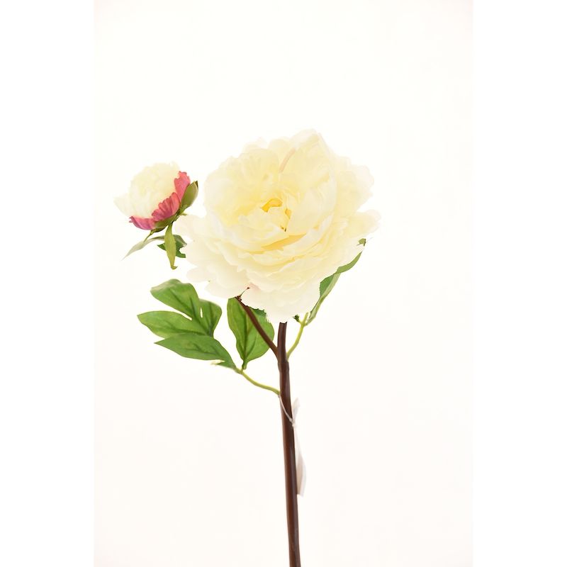 CHANTILLY - Peonia 54Cm Blanco CHANTILLY