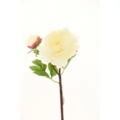 CHANTILLY - Peonia 54Cm Blanco