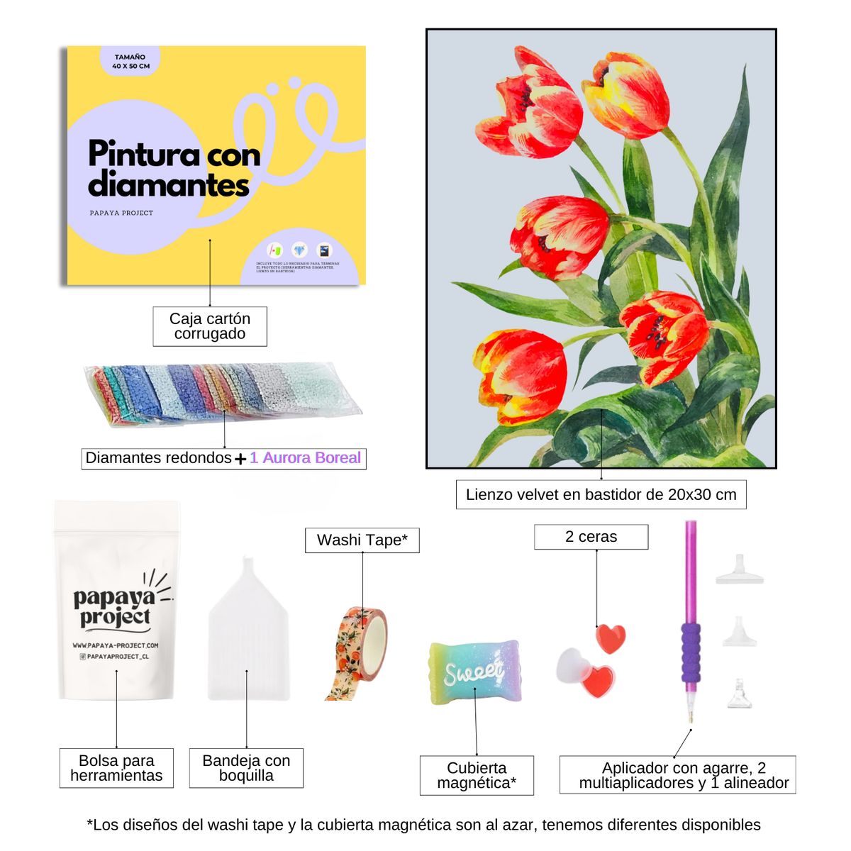 GENERICO - Pintura con diamantes 20x30cm en bastidor 16 Diamond panting