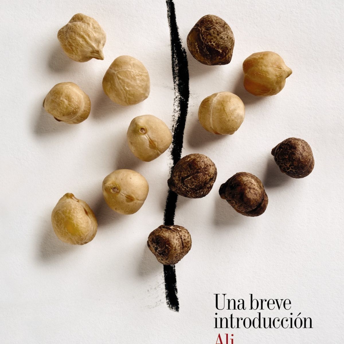 TOP10BOOKS - LIBRO RACISMO: UNA BREVE INTRODUCCION /440