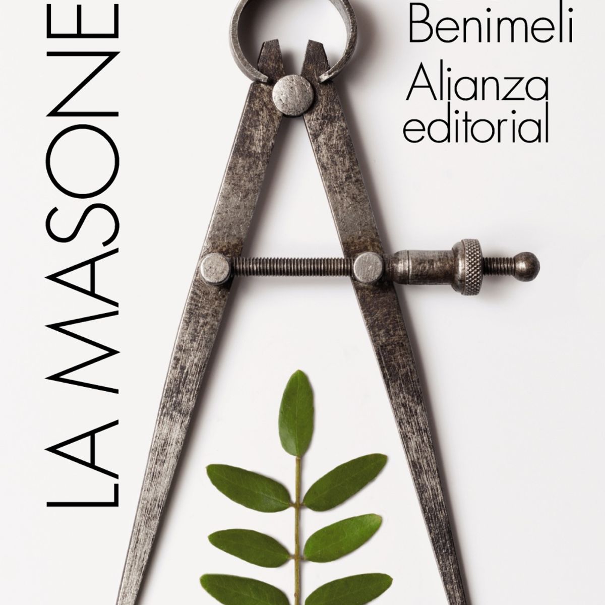 TOP10BOOKS - LIBRO La Masoneria - Jose Antonio Ferrer Benimeli