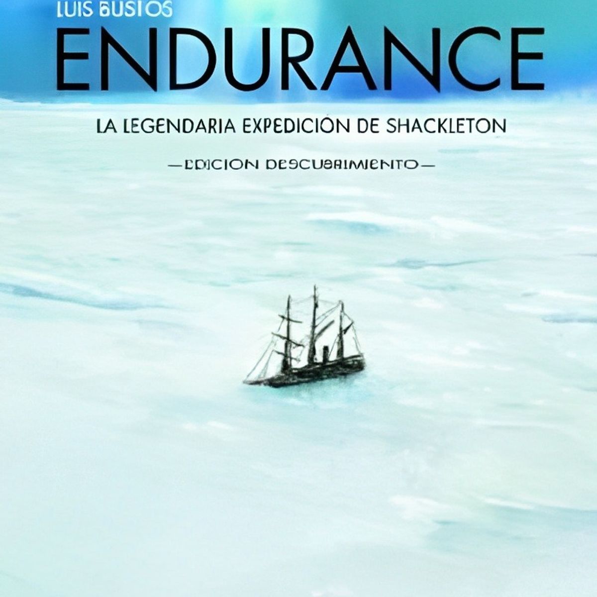 TOP10BOOKS - LIBRO Endurance (novela Gráfica) (n. e) - Endurance (Novela Gráfica) (N. E)
