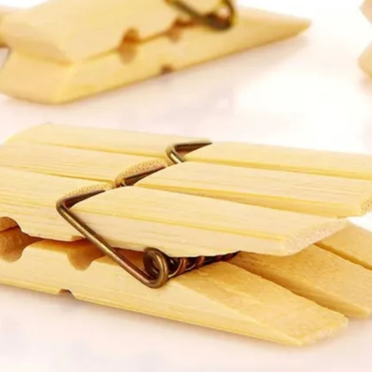 GENERICO - 80 PINZAS DE ROPA  TENAZAS COLGADORES LAVANDERIA PERROS