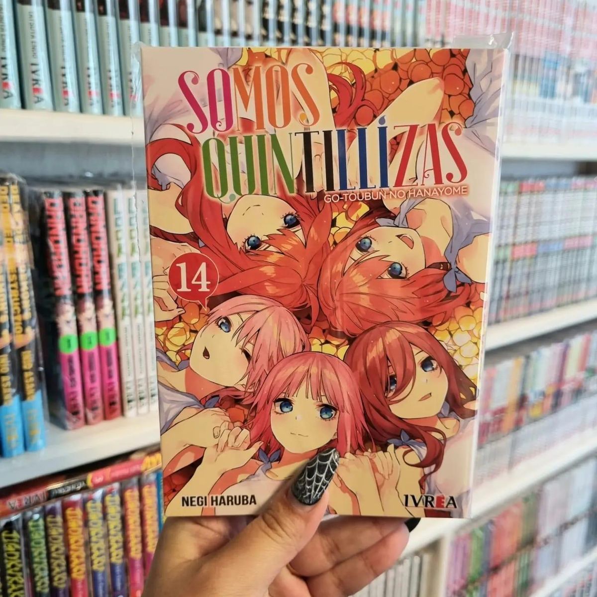 IVREA ARGENTINA - Manga Las Quintillizas 14 - Ivrea Argentina