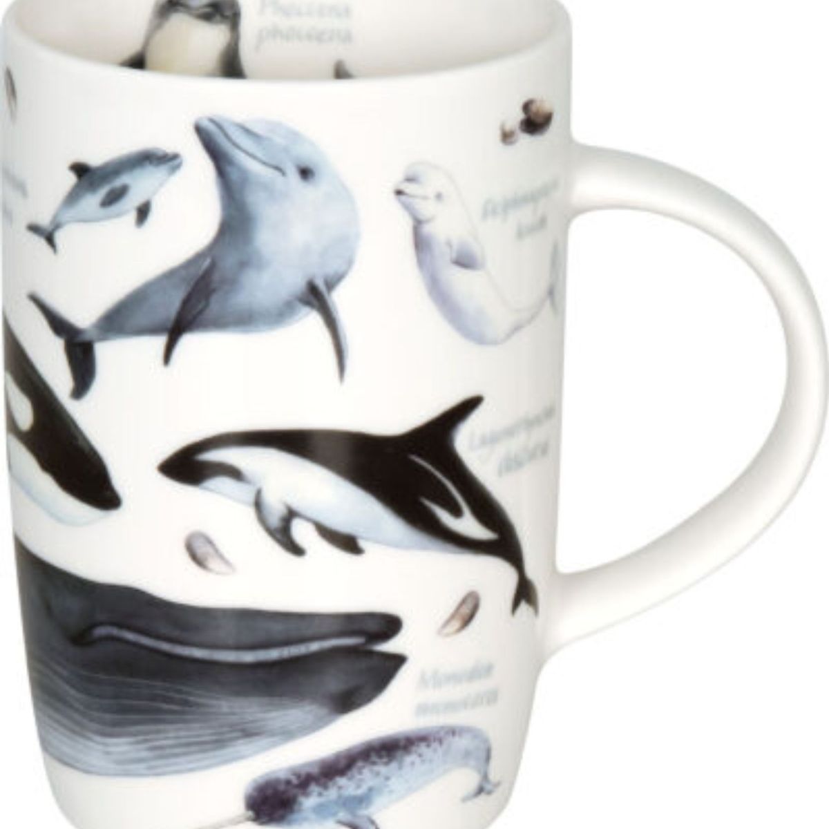 KONITZ - Tazon Mug Konitz Nature Diversity