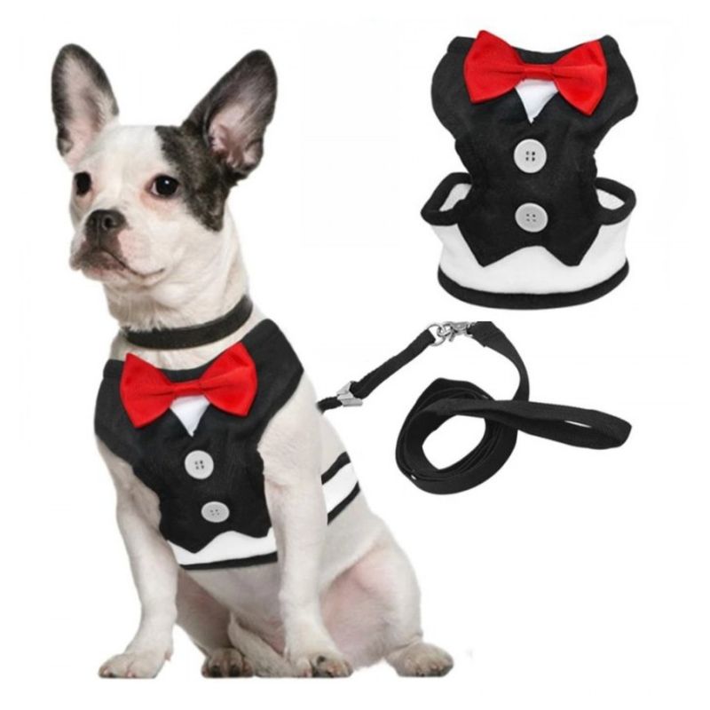 GENERICO - ARNES MASCOTA SMOKING NEGRO CON HUMITA PET KING/MIMBRAL
