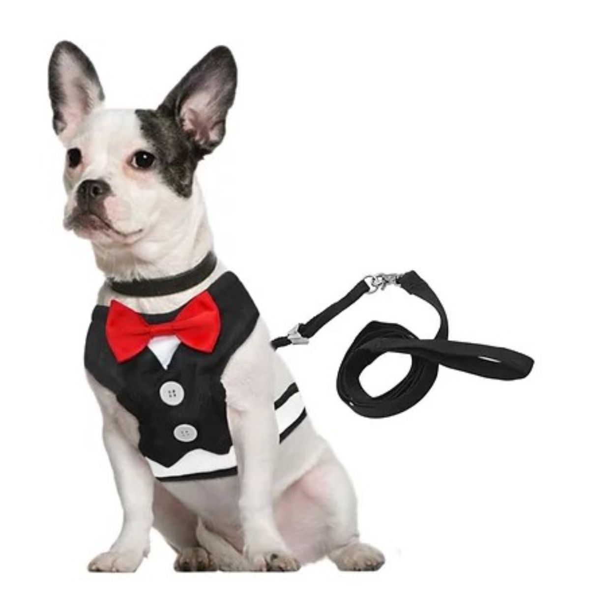 GENERICO - ARNES MASCOTA SMOKING NEGRO CON HUMITA PET KING/MIMBRAL