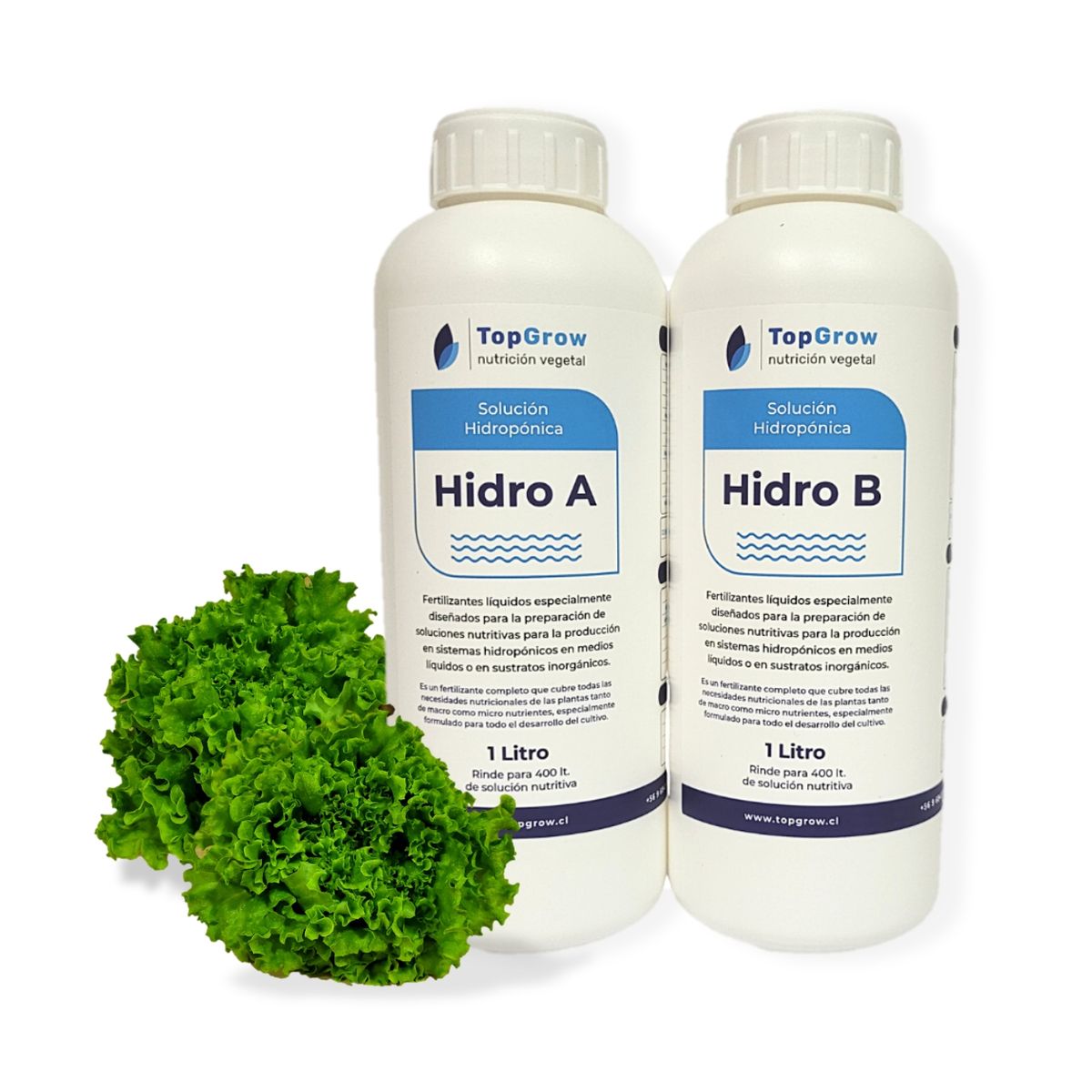 GENERICO - Fertilizantes Soluciones nutritivas A+B 1 litro