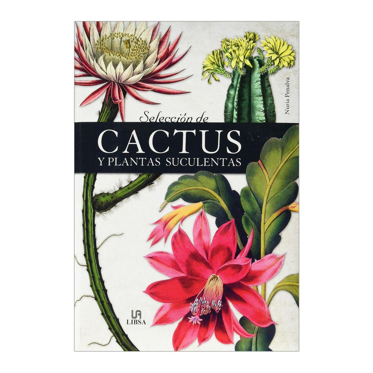 MUNDICROM - SELECCION DE CACTUS Y PLANTAS SECULENTAS