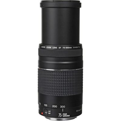 Imagen 2 del producto Lente EF 75-300mm f/4 5.6 III