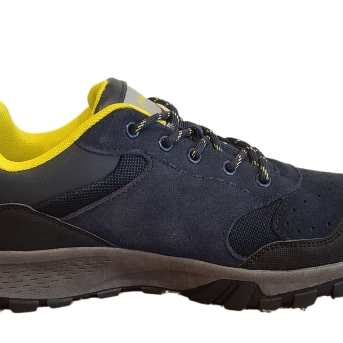 NORTHWEST - Zapatilla Outdoor Hombre Crew Trek II Azul