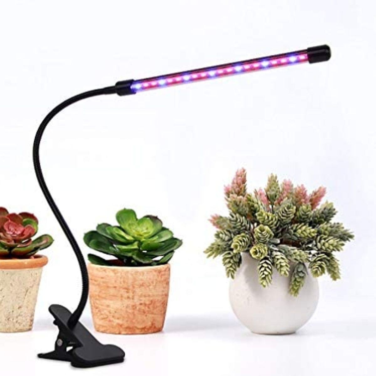 GENERICO - Lampara Luz Led Para Crecimiento De Plantas Con Temporizador 1 Tubo
