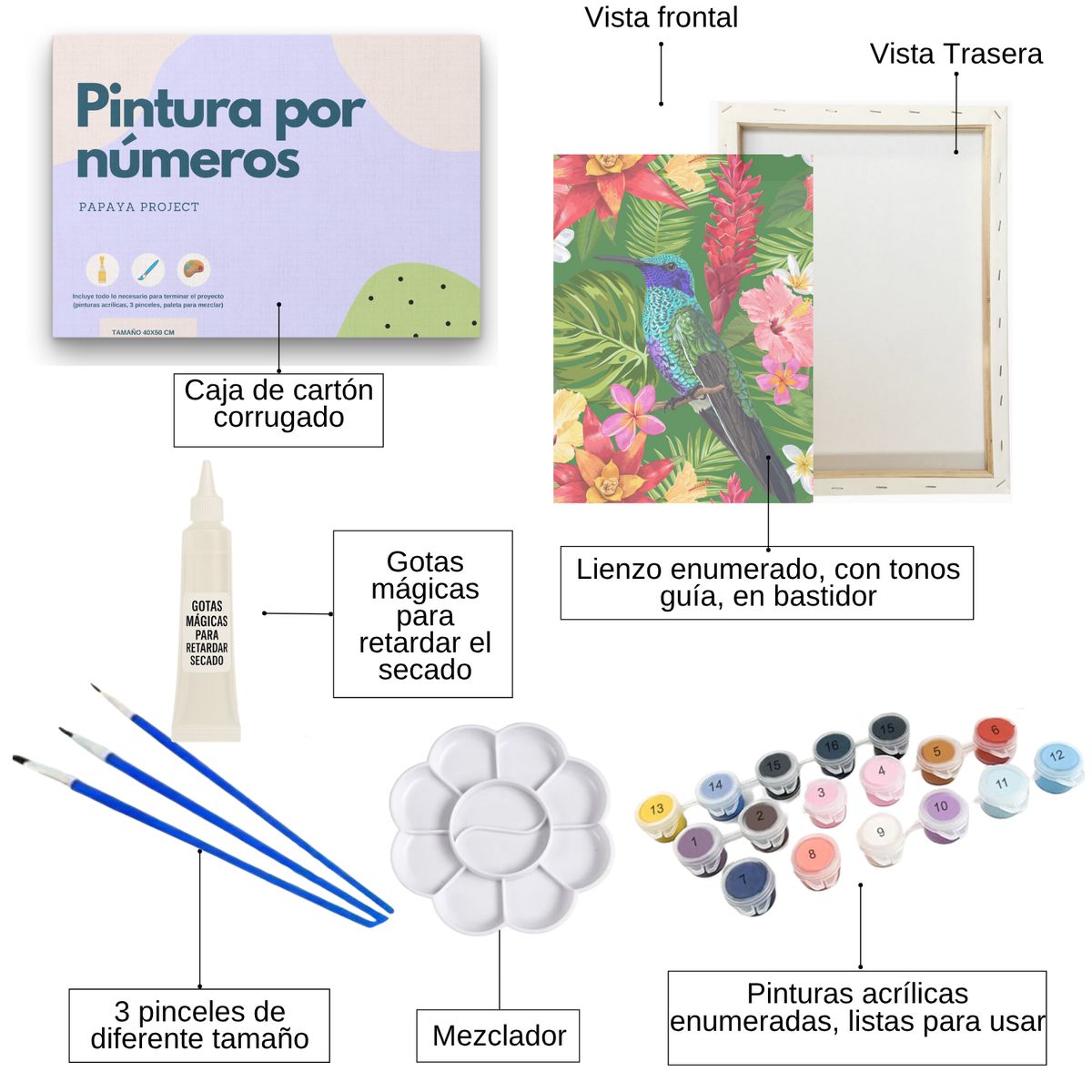 GENERICO - Pintura por números 25x35cm en bastidor Colibri - Painting by number