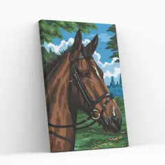 GENERICO - Pintura por número 25x35cm en batidor Caballito