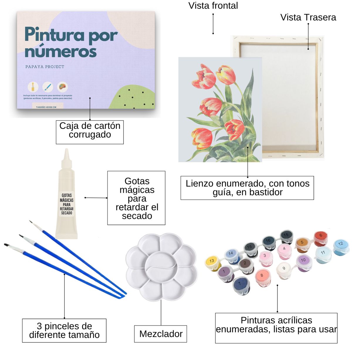 GENERICO - Pintura por números 25x35cm en bastidor Flores Rojas - Painting by number