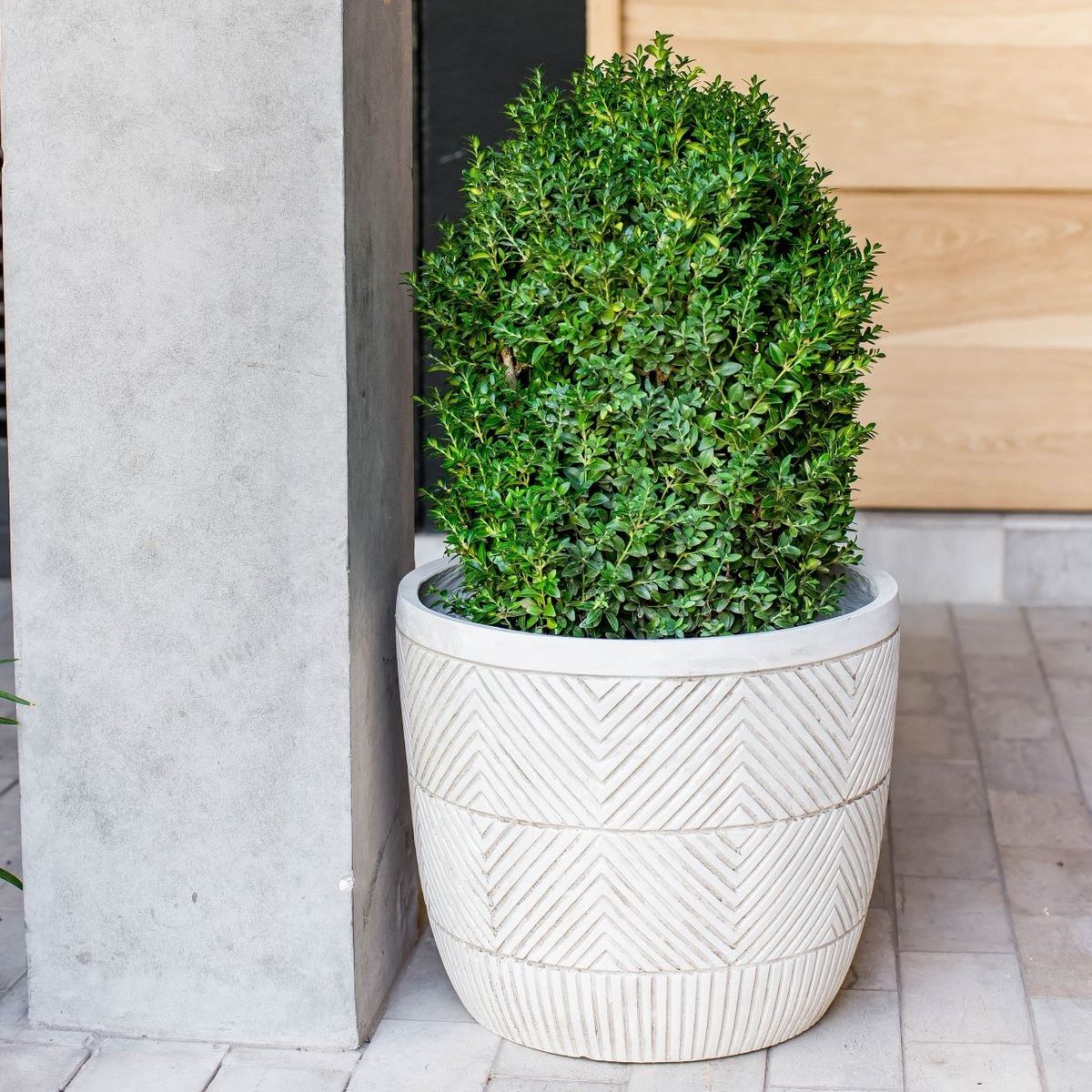 PLANT ME - Macetero Tanta 40 (Fibra de Cemento)