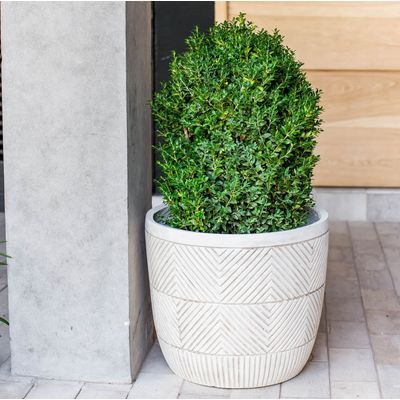 Imagen 2 del producto Macetero Tanta 40 (Fibra de Cemento)