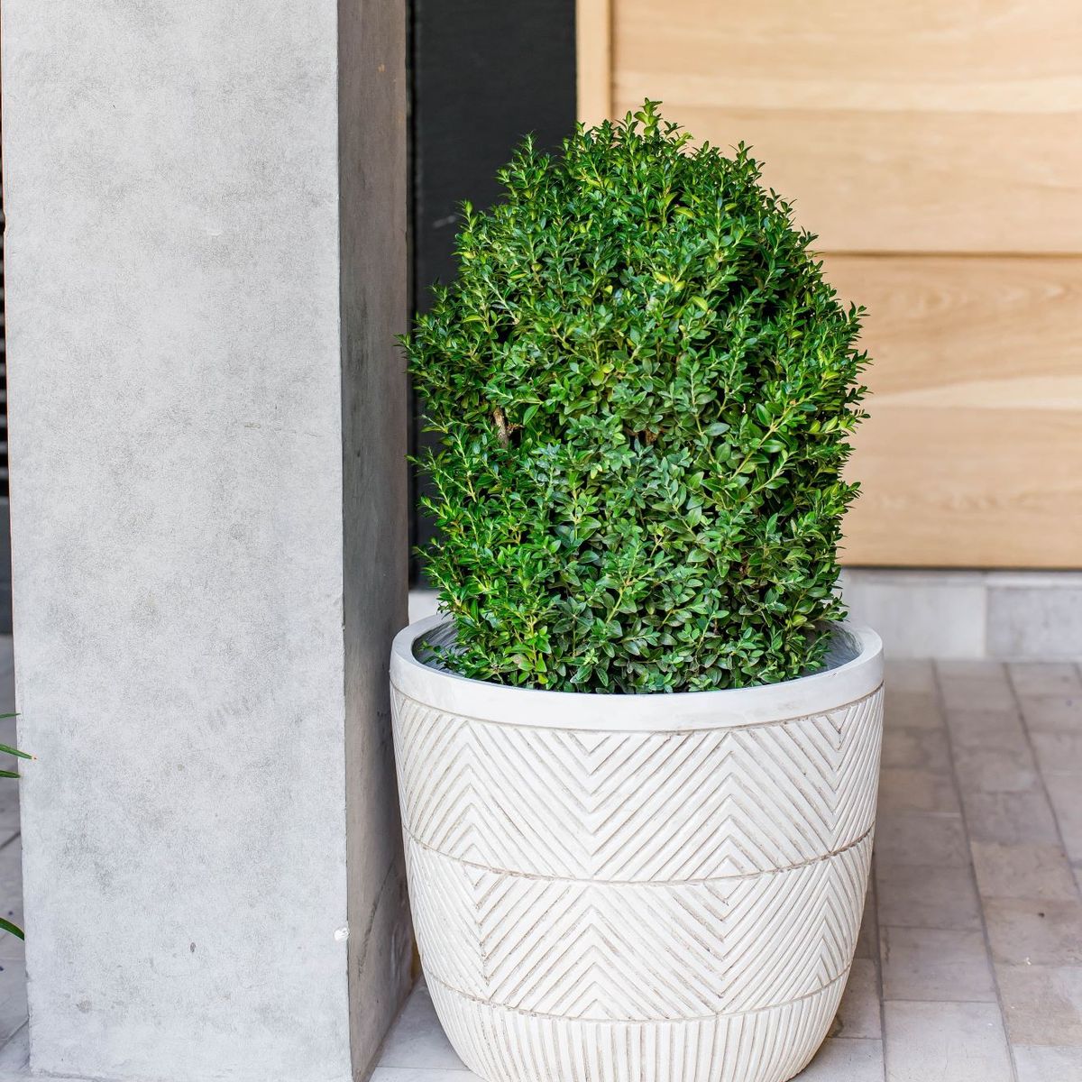 PLANT ME - Macetero Tanta 34 (Fibra de Cemento)