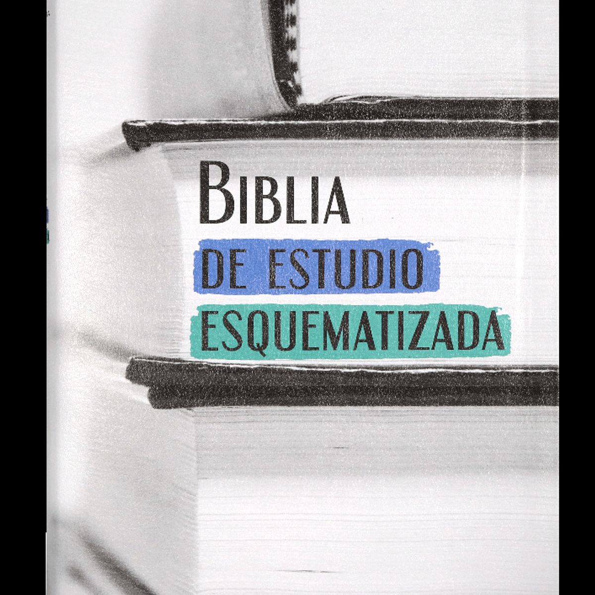 SOCIEDAD BIBLICA CHILENA - Biblia de Estudio Esquematizada RVR1960 grande índice