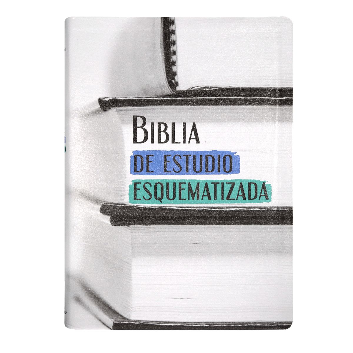 SOCIEDAD BIBLICA CHILENA - Biblia de Estudio Esquematizada RVR1960 grande índice