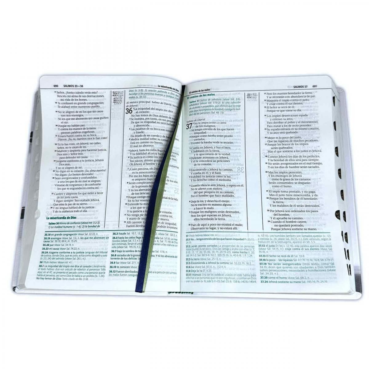 SOCIEDAD BIBLICA CHILENA - Biblia de Estudio Esquematizada RVR1960 grande índice