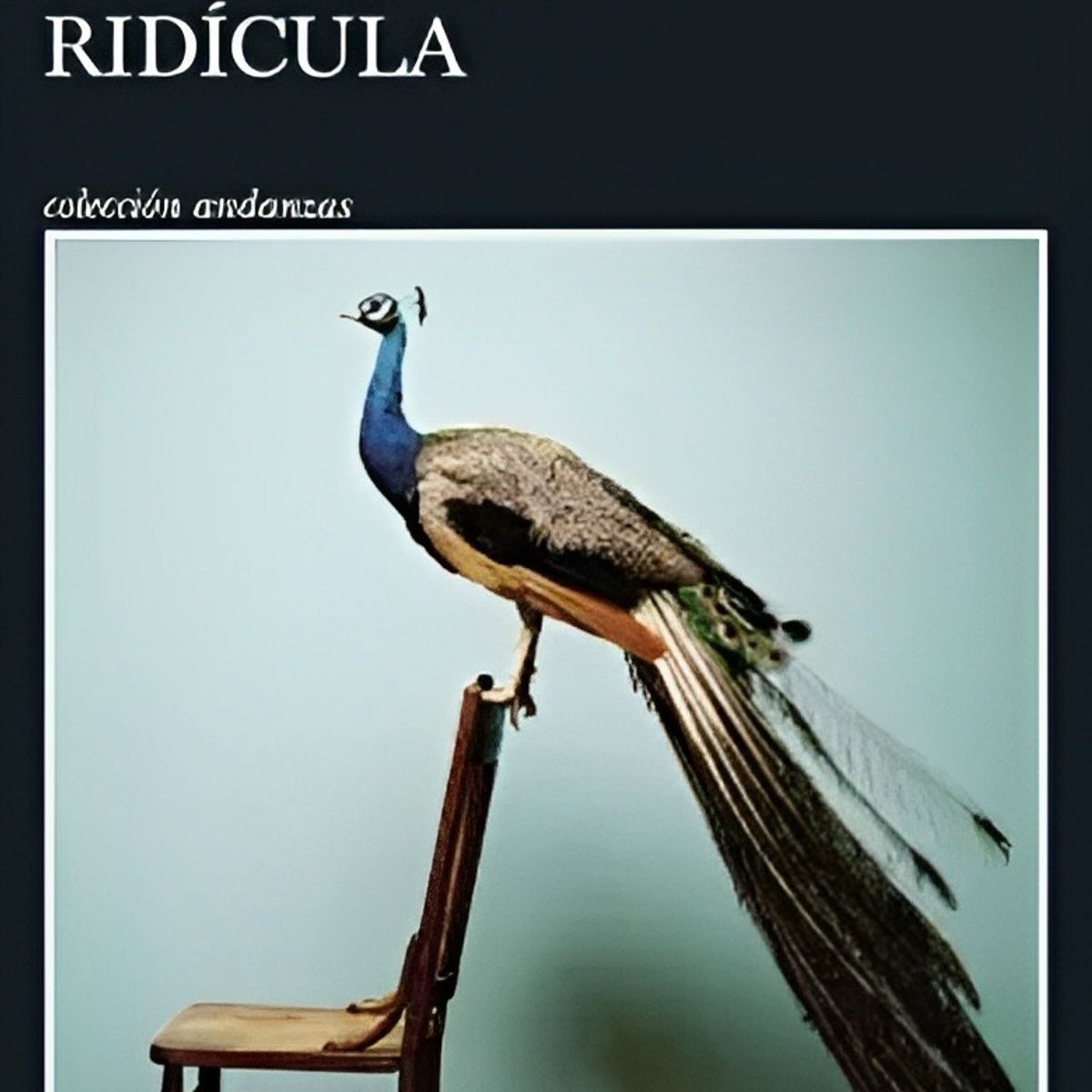 TOP10BOOKS - LIBRO Una Historia Ridícula - Una Historia Ridícula