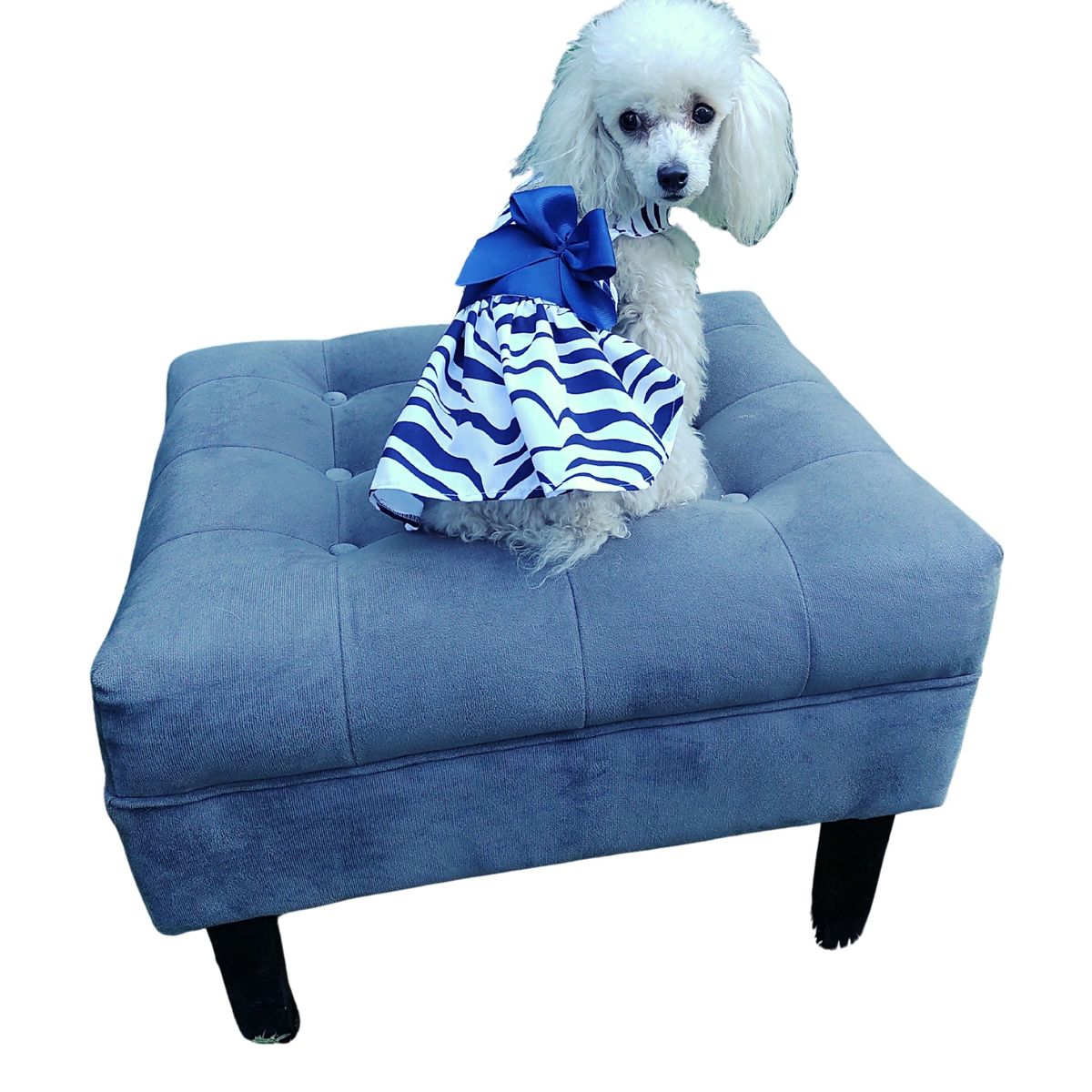 PET GLAM - ROPA PARA MASCOTAS VESTIDO CEBRA