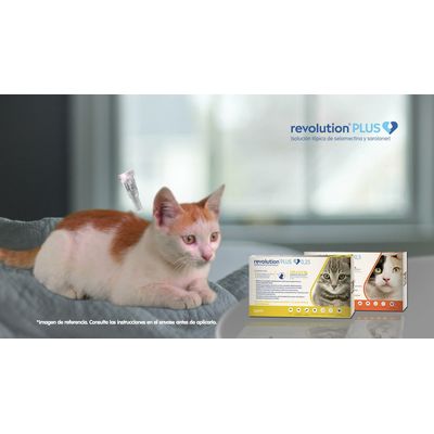 Imagen 2 del producto Pipeta REVOLUTION PLUS 2,5 a 5 kg - Antiparasitario Int/Ext