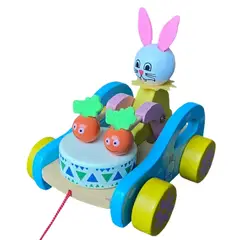 GENERICO - Juguete Montessori Madera Auto Didáctico Arrastre niño