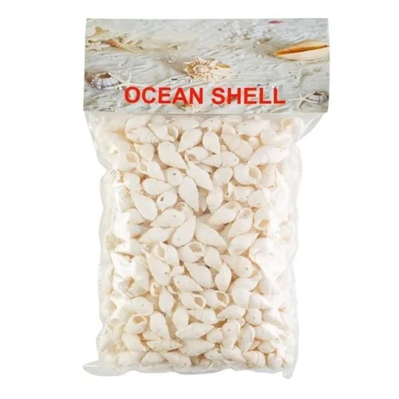 GENERICO - Conchitas De Mar Pequeñas 200 Grs + Nylon Para Collar A