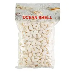 GENERICO - Conchitas De Mar Pequeñas 200 Grs + Nylon Para Collar A