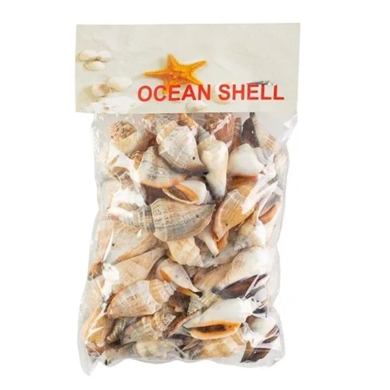 GENERICO - Conchitas De Mar Medianas 200 Grs + Nylon Para Collar