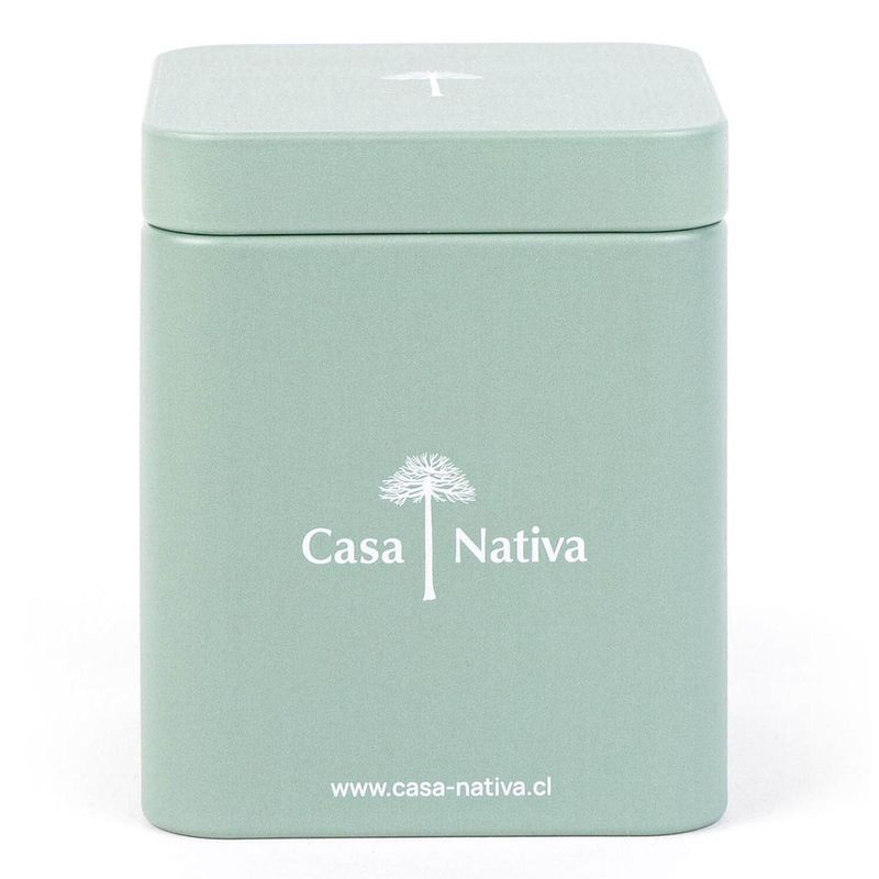 CASA NATIVA - Caja Aluminio Verde Pistacho