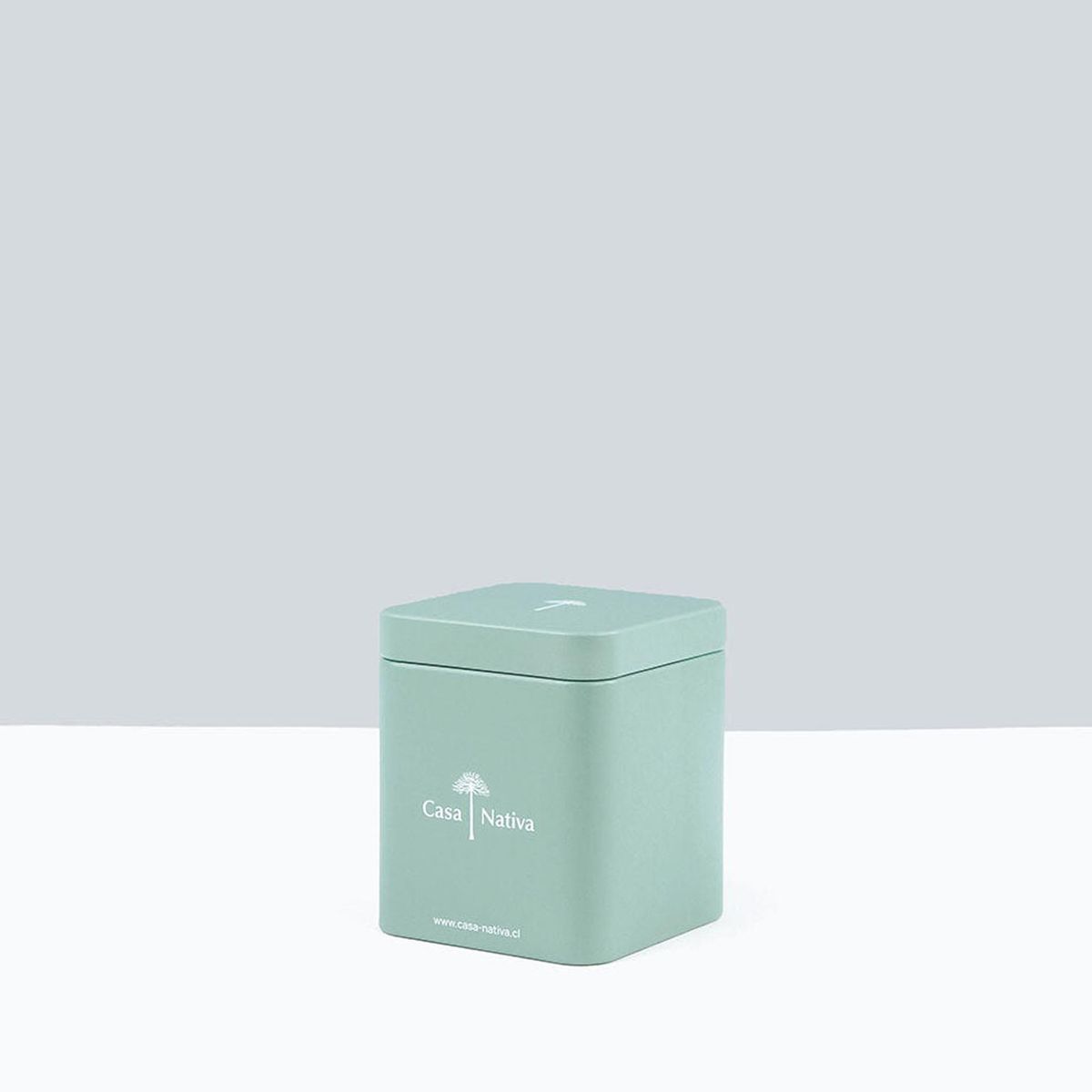 CASA NATIVA - Caja Aluminio Verde Pistacho