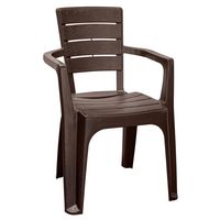 Silla Roble Con Apoyabrazos Camping